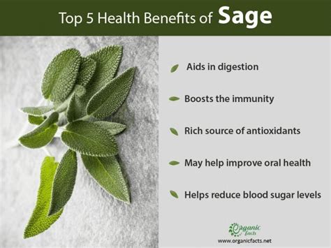 11 Impressive Benefits Of Sage Organic Facts