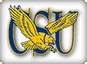 MEAC/SWAC SPORTS MAIN STREET™: New Look CSU Eagles Kickoff 2007 Season ...