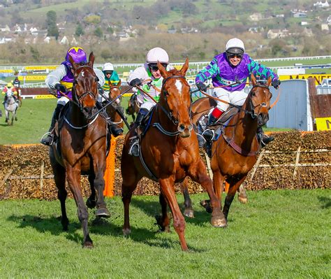 The 2020 Cheltenham Festival: Ten horses who caught the eye in defeat