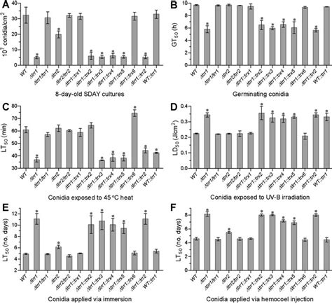 Effects Of Trr1 And Trr2 Deletions On B Bassiana Conidiation And Download Scientific Diagram