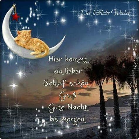 Pin Von Viola Auf Gute Nacht Gute Nacht Bis Morgen Gute Nacht Gute