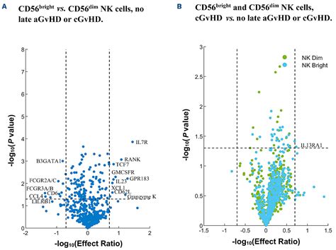 Cd Bright Cd Natural Killer Cells As An Important Regulatory