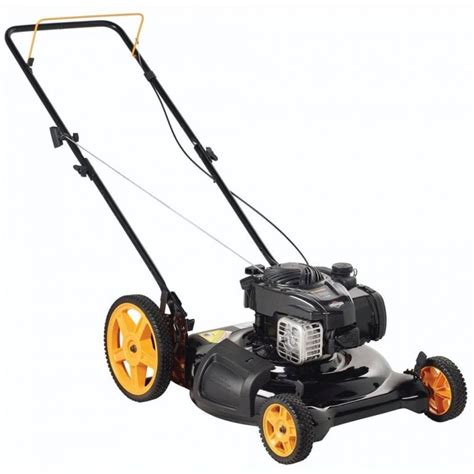 8 Best Gas Push Mower - 2024 Review - Growing Magazine