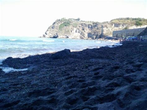 Procida La Spiaggia Del Postino Invasa Dalle Alghe Napoli ZON