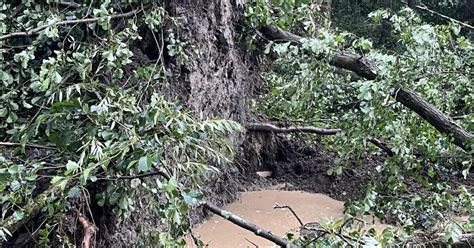 Hasiči mali kvôli búrkam na severe Slovenska 82 výjazdov Zachraňovali