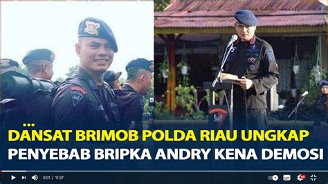 Dansat Brimob Polda Riau Ungkap Penyebab Bripka Andry Demosi Hingga