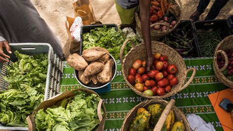 Los Desaf Os De La Inseguridad Alimentaria Garantizar Que Las Personas