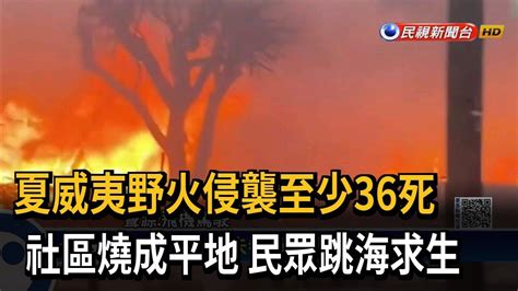 夏威夷野火侵襲至少36死 社區燒成平地 民眾跳海求生－民視新聞 Youtube