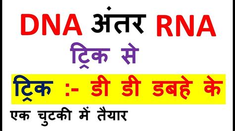 Dna Rna Difference