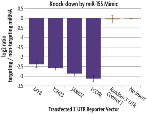 Lightswitch Mirna Mimics And Inhibitors For The Study Of Mirna Function