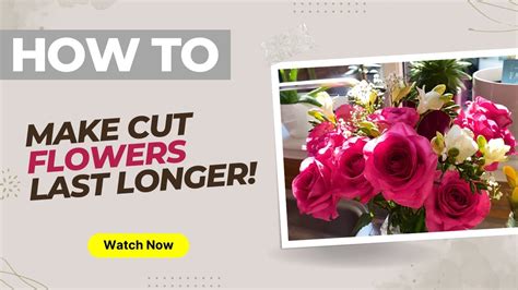 How To Make Cut Flowers Last Longer Do You Do This Youtube