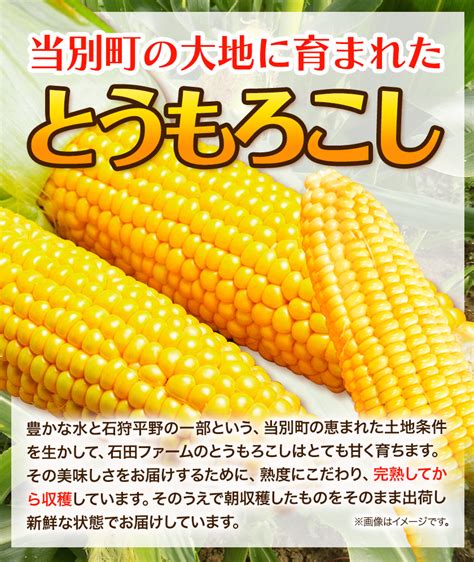 【楽天市場】【ふるさと納税】石田ファーム とうもろこし詰め合わせ20本セット 訳あり 不揃い 朝採り 野菜 新鮮 夢のコーン 甘獲娘