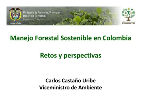 Manejo Forestal Sostenible En Colombia Retos Y Perspectivas