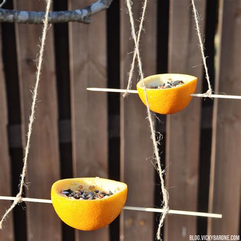 Diy Bird Feeders Vicky Barone