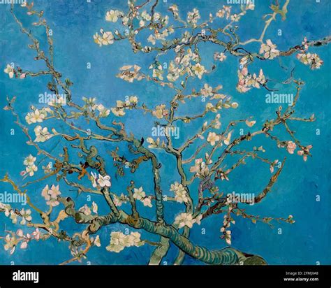 Van Gogh Almond Tree High Resolution