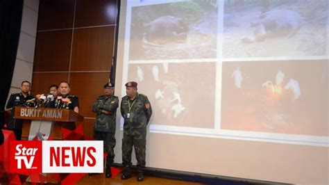 Ten Poachers Detained Almost Rm1mil Worth Of Wildlife Parts Seized