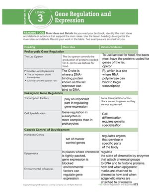 Bio U L Muscles Energy Week Unit Homeostasis Marathon Runner