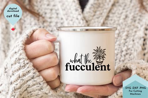 Wtf What The Fucculent Funny Plant Svg Graphic By Lettershapes