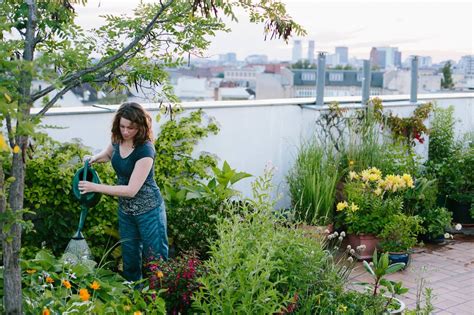 Urban Gardening kleiner Garten mit großer Wirkung STRASSER Steine