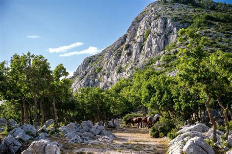 Ova Malena Hrvatska Crkva Nalazi Se Na Metara Nadmorske Visine