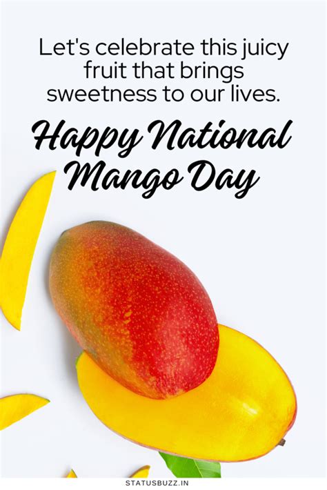 50 National Mango Day Messages Captions StatusBuzz