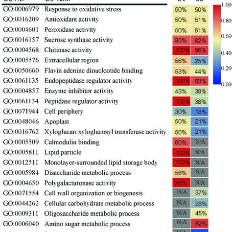 Gene Ontology Go Enrichment Analysis Of Degs Fc ≥ 2 In St Or Ss