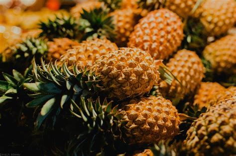 Ananas Warto Ci Od Ywcze W A Ciwo Ci Odmiany Agropedia