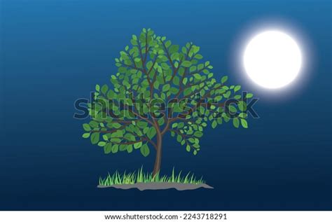 Blue Background Design Green Tree Moon Stock Vector (Royalty Free ...