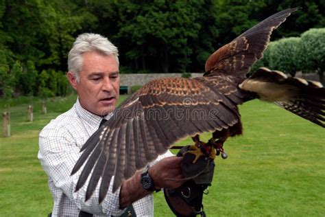 Falconry Show at Dunrobin Castle, Scotland Editorial Image - Image of scotland, highlands: 123570285