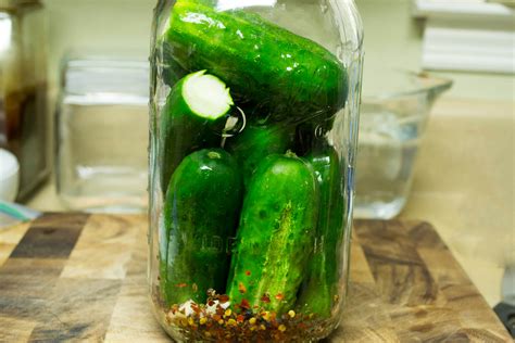 Easy Fermented Pickles (packed with healthy probiotics) | Scratch Mommy