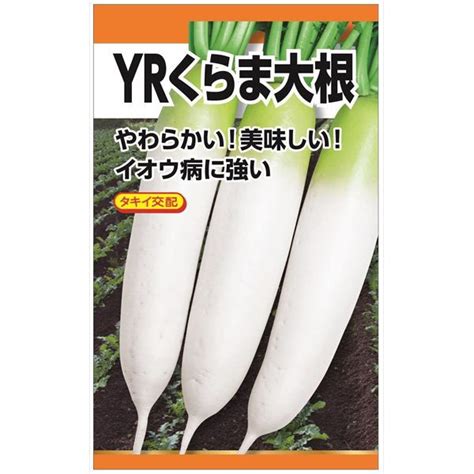 ニチノウのタネ タキイ交配 Yrくらま大根 日本農産種苗 4960599259202 1セット（3袋入）（直送品） アスクル