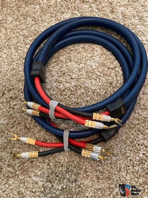 Psaudio Xstream Statement Speaker Cables M Superb Audiophile Heavy