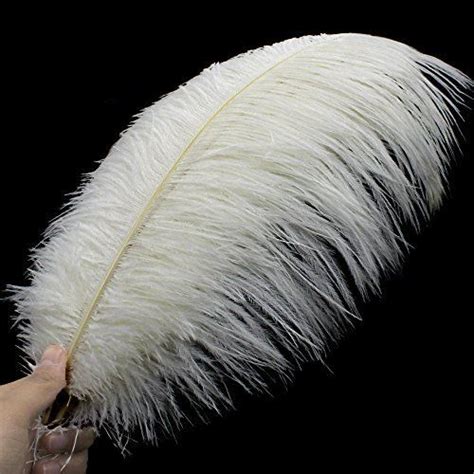 Coceca Pcs White Ostrich Feathers Inch Cm For Wedding