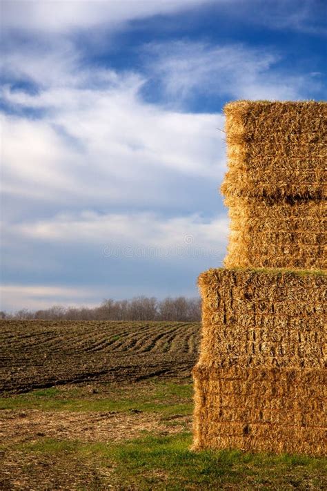 Stack Of Hay Bales In Plowed Field 2 Stock Image Image Of Harvest