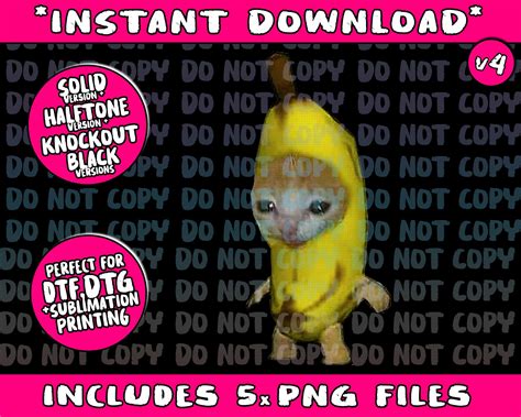 Banana Cat Funny Meme Kitten Fruit Download Png Bundle, Trending Png, Popular Printable - Etsy