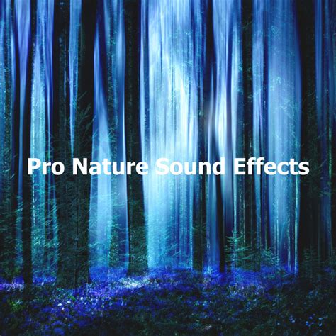 Pro Nature Sound Effects Album By Pro Sounds Of Nature Spotify