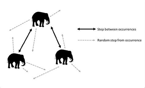 Conceptual Diagram Of Movement Pathway In Step Selection Function