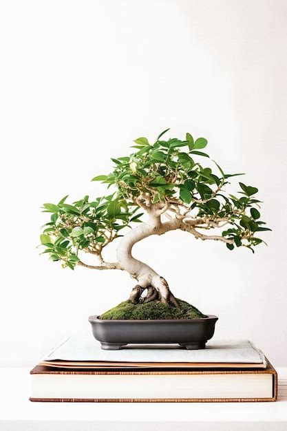 Premium Photo Art Of Bonsai Unveiled Beginner S Guide With Stunning