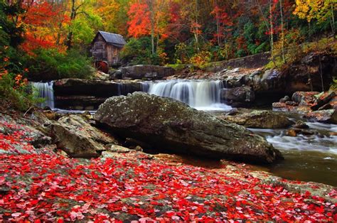 Top 5 Fall Foliage Spots for the Perfect Instagram Photo - West Virginia State Parks