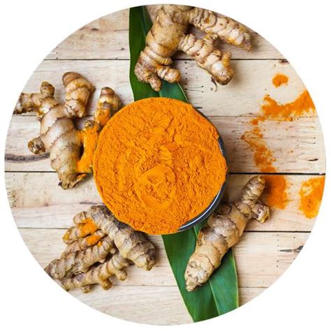 Organic Turmeric Powder Manufacturer Wholesale Bulk Supplier