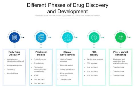 Different Phases Of Drug Discovery And Development Presentation Graphics Presentation