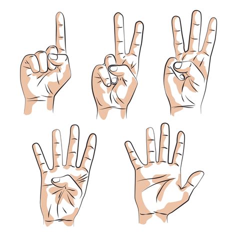 Human Hand Gesture Sketch 4971967 Vector Art At Vecteezy