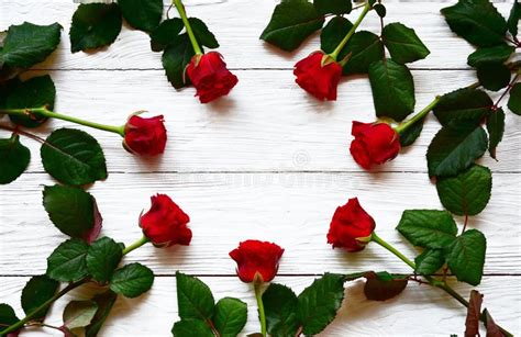 Circle Of Red Roses On A White Wooden Background Top View Stock Photo