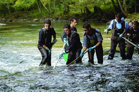 Bac Pro Gmnf Gestion Des Milieux Naturels Et De La Faune Eplefpa De