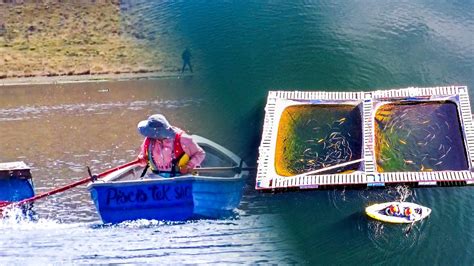 TORNEO DE PESCA TRUCHA Y CANOTAJE LAGUNA LULICOCHA NINACACA PASCO