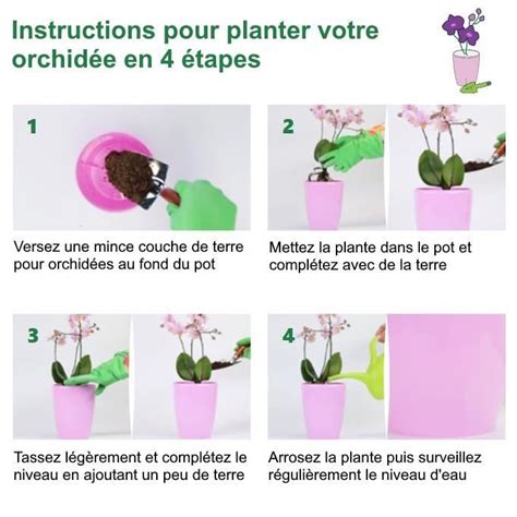 Lot De Pots Pour Orchid Es Avec R Serve D Eau Arte Dea Vert Clair