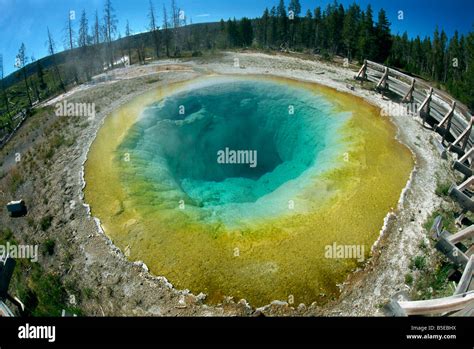 The Morning Glory Pool Yellowstone National Park Unesco World Heritage Site Wyoming United