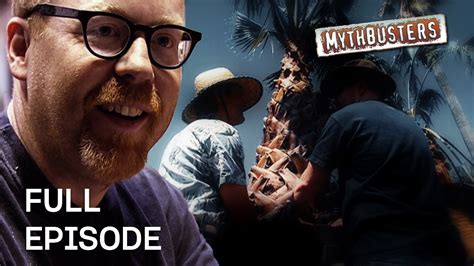 Can A Piece Of Straw Pierce A Palm Tree MythBusters Season 4