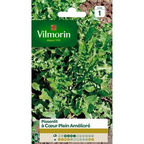 VILMORIN Pissenlit à cœur plein Cdiscount Jardin