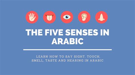 The Five Senses In Arabic Selfarabic